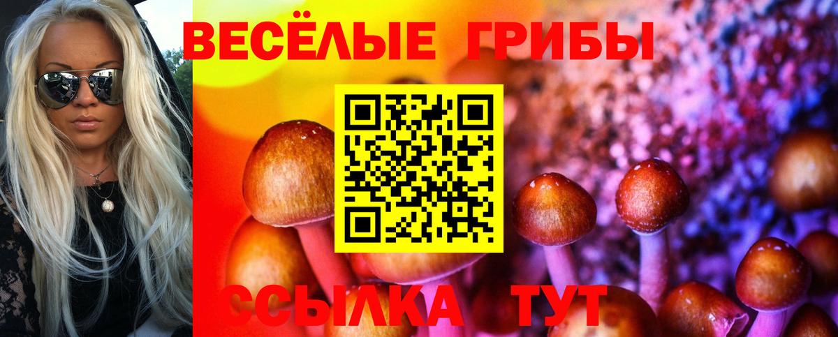Галлюциногенные грибы Cubensis  Вход с VPN  Артём  Псилоцибиновые грибы мухоморы 